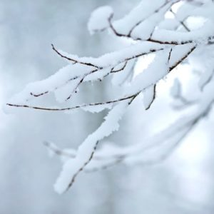 冬の雪景色