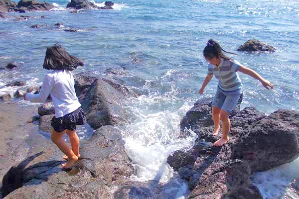 磯遊び